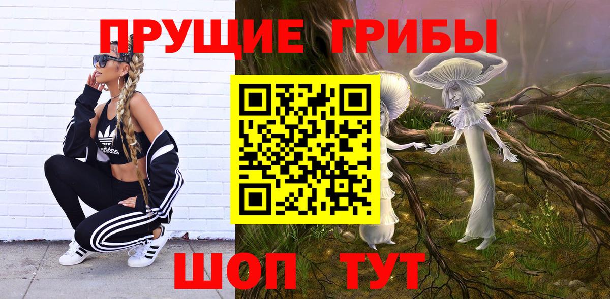 Еманжелинск  Галлюциногенные грибы прущие грибы  Вход с VPN 
